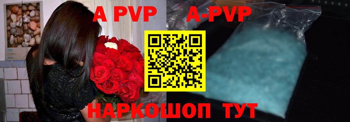 Alfa_PVP СК КРИС Липецк