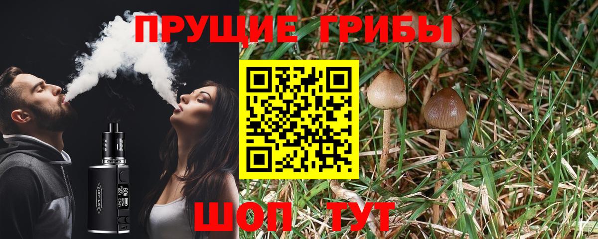 Псилоцибиновые грибы мухоморы  Вход с VPN  Липецк 